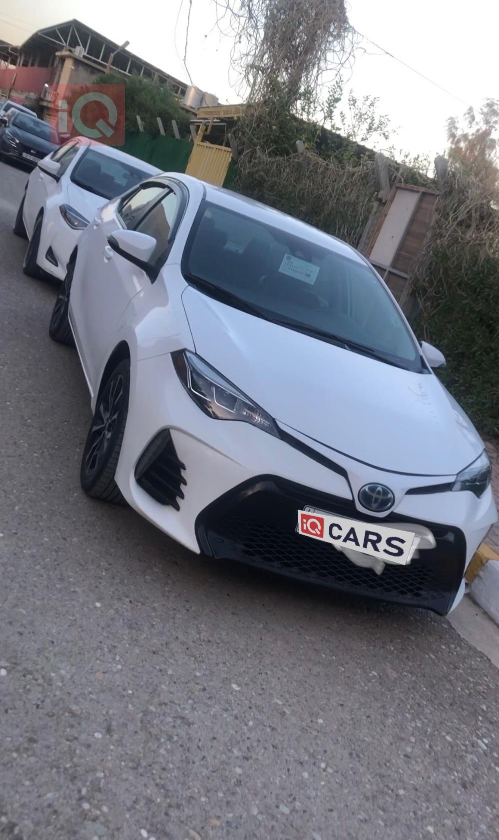 تويوتا كورولا